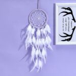 Big Dream Catcher