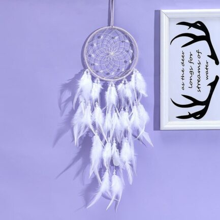 Big Dream Catcher